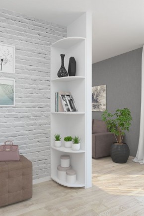 Угловой элемент ЛДСП 1 кат. в Менделеевске - mendeleevsk.mebel24.online | фото