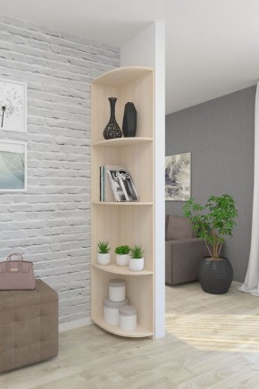 Угловой элемент ЛДСП 1 кат. в Менделеевске - mendeleevsk.mebel24.online | фото 4