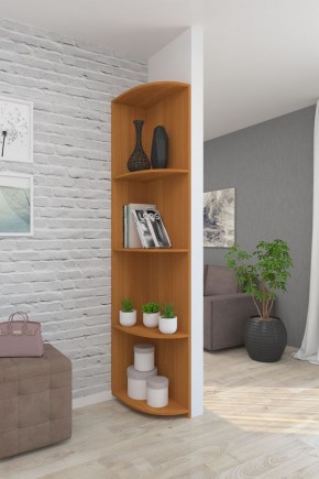 Угловой элемент ЛДСП 1 кат. в Менделеевске - mendeleevsk.mebel24.online | фото 6