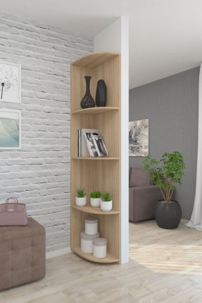 Угловой элемент ЛДСП 1 кат. в Менделеевске - mendeleevsk.mebel24.online | фото 7