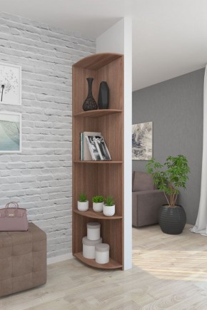 Угловой элемент ЛДСП 1 кат. в Менделеевске - mendeleevsk.mebel24.online | фото 8