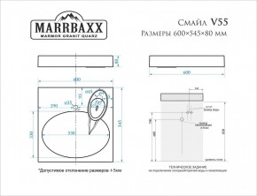 Умывальник над стиральной машиной (600*545*80) Смайл V55D1 (белый) с кронштейном без сифона (V55D1) в Менделеевске - mendeleevsk.mebel24.online | фото 2