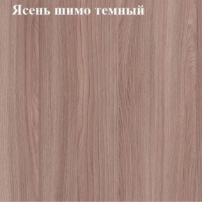 Вешалка для одежды (Ясень шимо темный) в Менделеевске - mendeleevsk.mebel24.online | фото 2