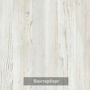 ВИНТЕР - 6.16 Шкаф-купе 1600 без зеркала в Менделеевске - mendeleevsk.mebel24.online | фото 5