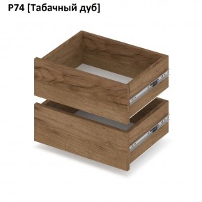РОЛАНД Выдвижные ящики  Р76 в Менделеевске - mendeleevsk.mebel24.online | фото 10
