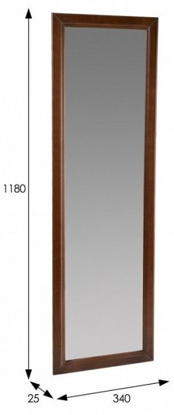 Зеркало настенное Селена в Менделеевске - mendeleevsk.mebel24.online | фото 2