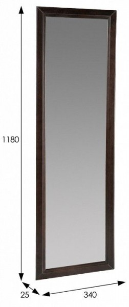 Зеркало настенное Селена в Менделеевске - mendeleevsk.mebel24.online | фото 2