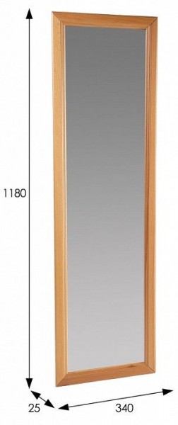Зеркало настенное Селена в Менделеевске - mendeleevsk.mebel24.online | фото 3
